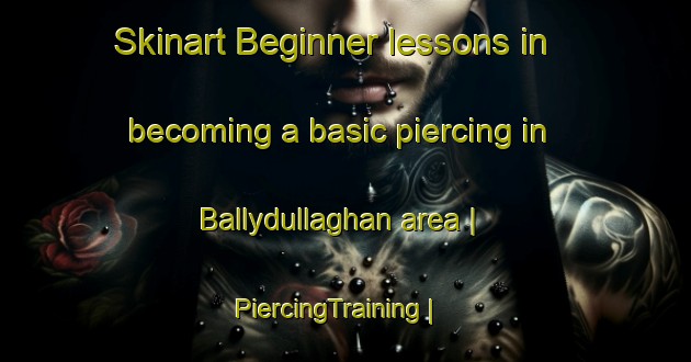 Skinart Beginner lessons in becoming a basic piercing in Ballydullaghan area | PiercingTraining | PiercingClasses | SkinartTraining-United Kingdom